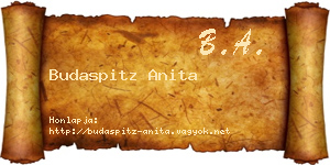 Budaspitz Anita névjegykártya